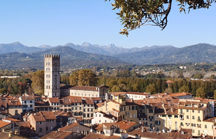 Lucca - Ausblick Torre de Guinigi