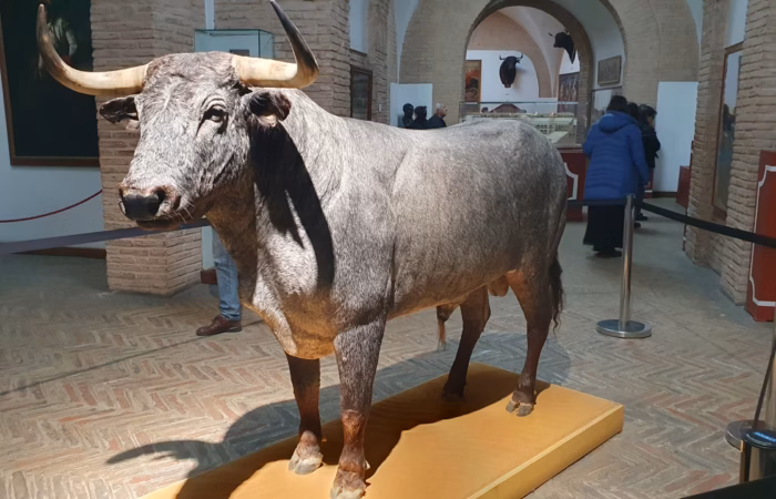 Sevilla - Museum Plaza del Toros