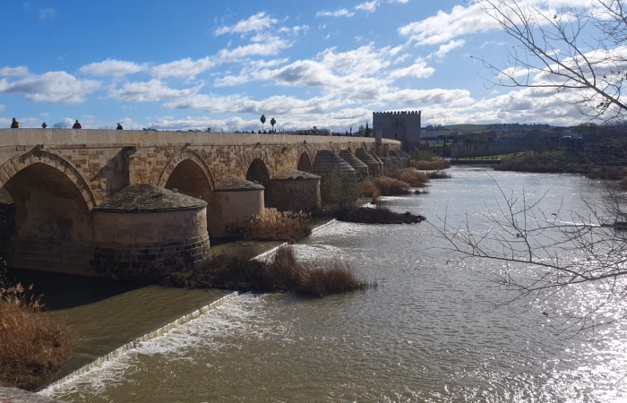 Cordoba - Puento Romano